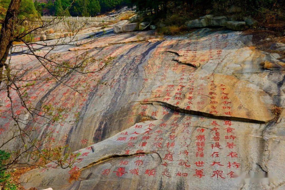 我市持续推进城乡建设与住建领域高质量发展
